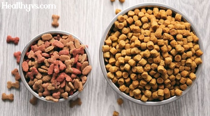 Royal Canin vs Hill's Science Diet Dog Foods: Searching for Our Beloved Friends